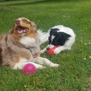 Meet your Posher, Stacey